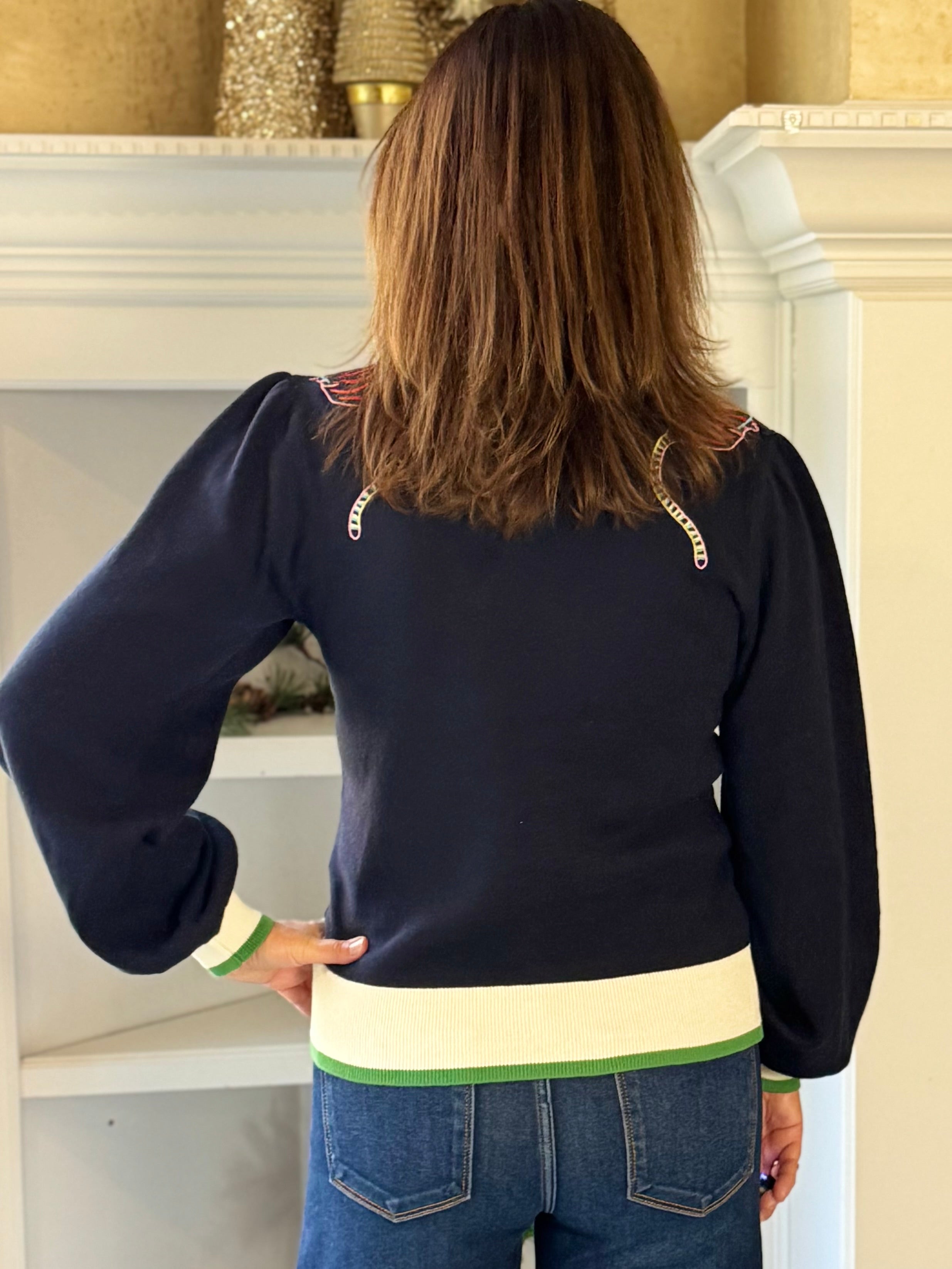 Wild Streak Embroidered Sweater