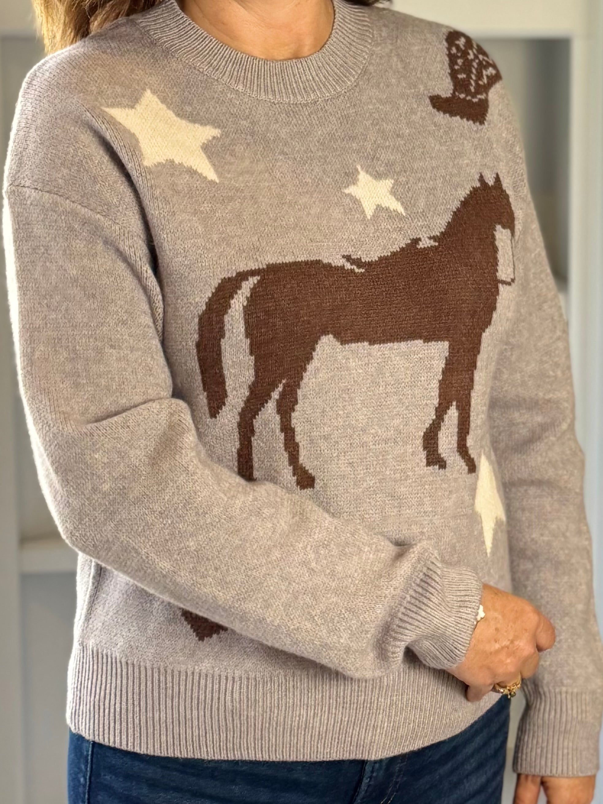 THML Trailblazer Sweater