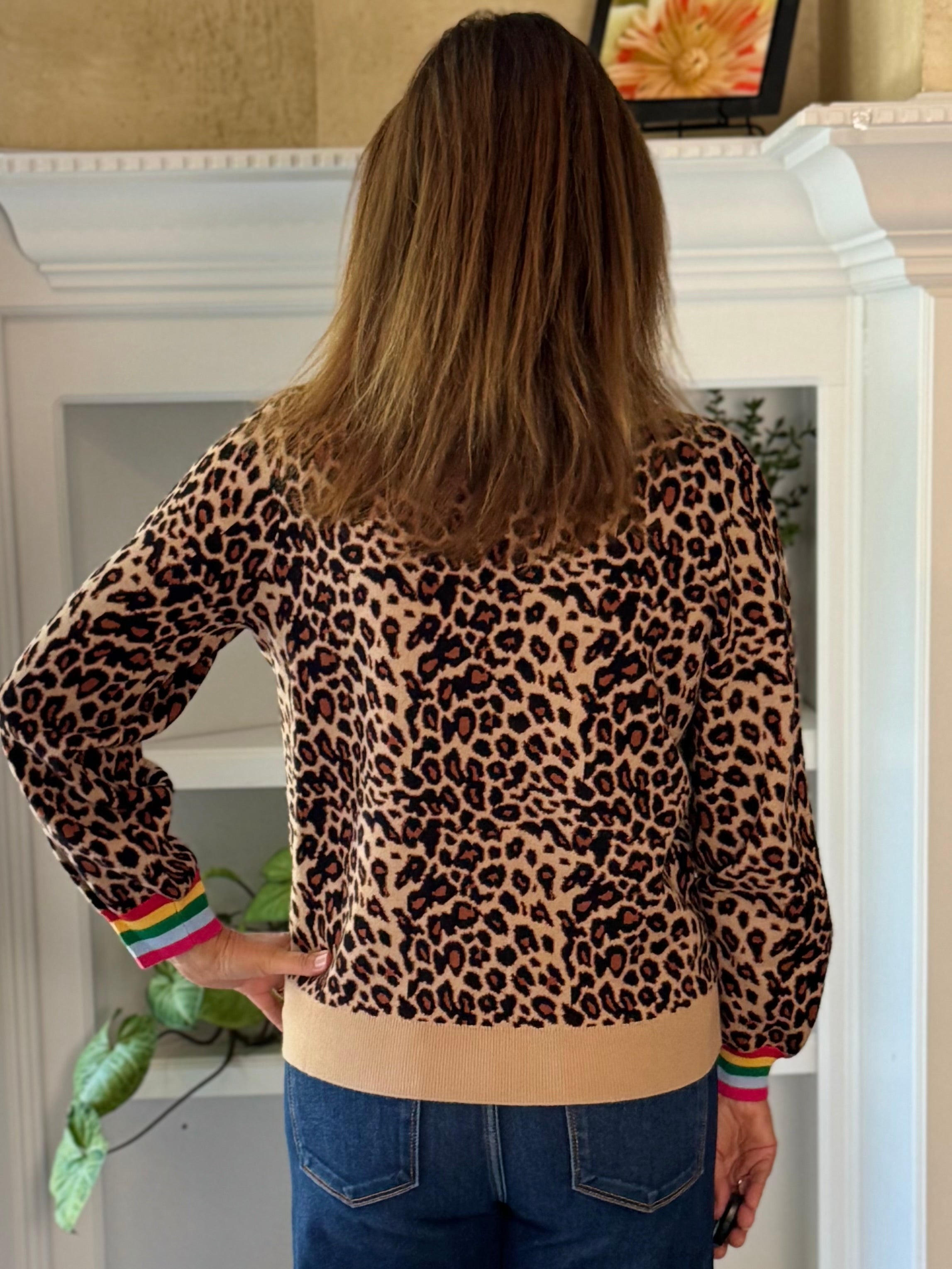 Colorpop Leopard Sweater