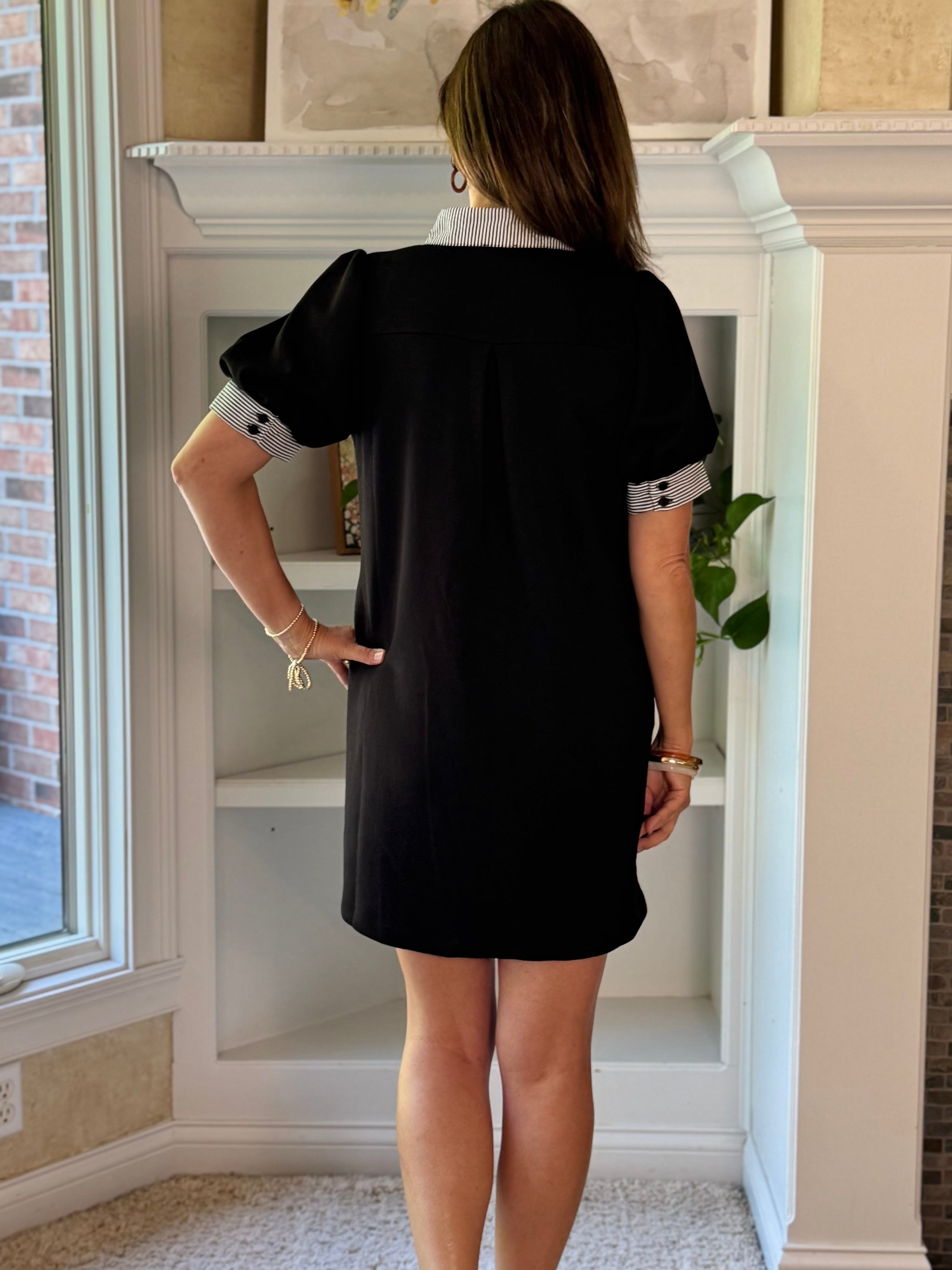 Timeless Contrast Dress