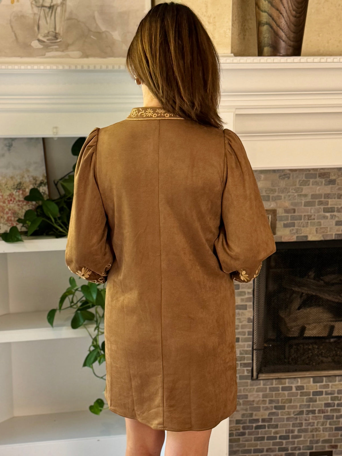 Artfully Yours Embroidered Dress