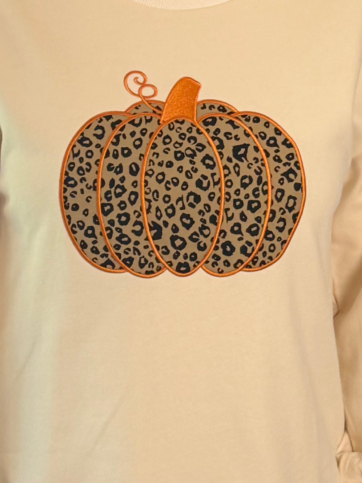 Patch Perfect Embroidered Sweatshirt